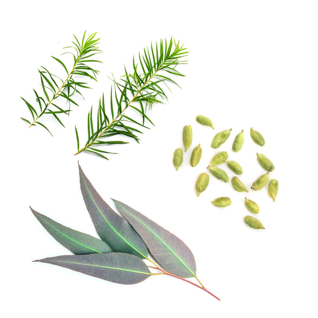 dōTERRA Easy Air® Essential Oil Blend Botanical