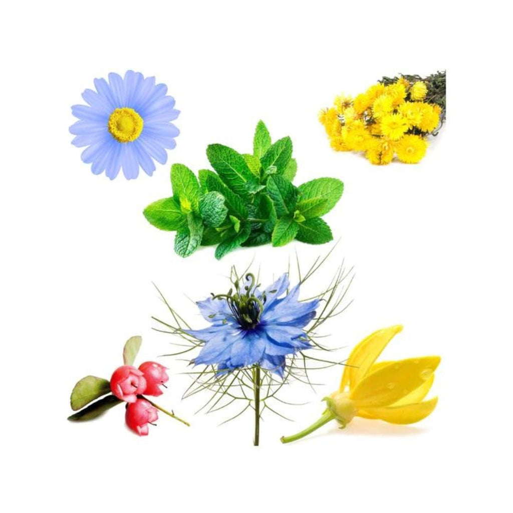 dōTERRA Deep Blue® Essential Oil Blend Botanical