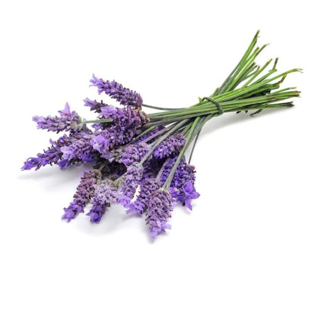 dōTERRA Lavender Touch Botanical