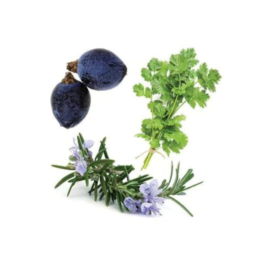 dōTERRA Zendocrine® Essential Oil Blend Botanical